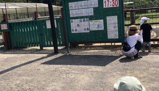 【日帰り体験談】東京ドイツ村のアトラクションを紹介！料金は？アクセスは？