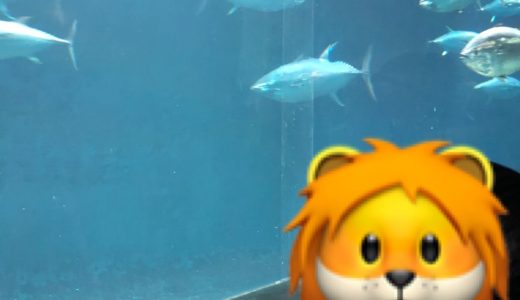 葛西臨海水族園の見どころを紹介（クロマグロ・ペンギン展示場など）