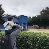 子連れのお出かけにおすすめ！千葉市動物公園をご紹介！