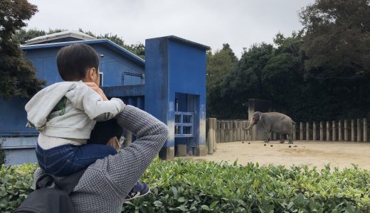 子連れのお出かけにおすすめ！千葉市動物公園をご紹介！