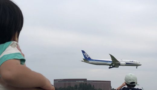 飛行機が見える公園！成田市さくらの山をご紹介！