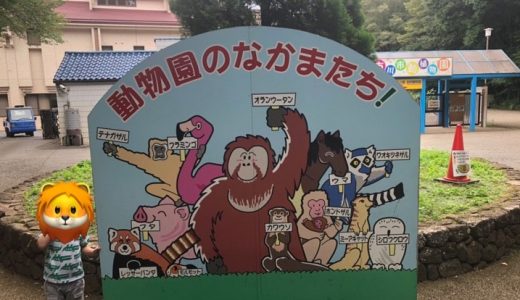 市川市動植物園をご紹介！アクセス、料金、実際に行った混雑状況も！