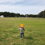 プールだけじゃない！稲毛海浜公園をご紹介。駐車場情報も！